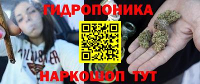 эйфоретик Дубна